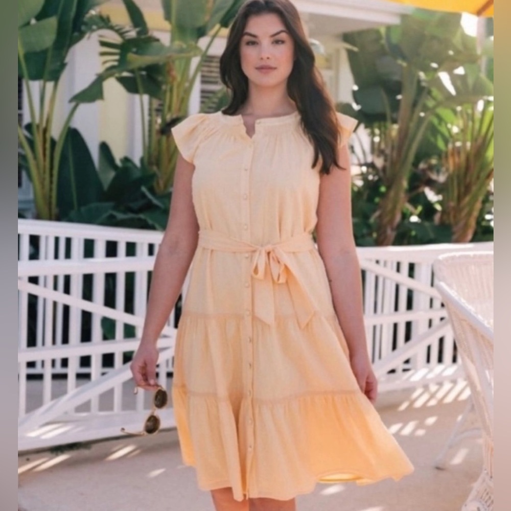 Gal Meets Glam Peggy dress